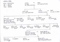 The Jarvis Family Tree 